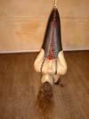 Bondage Ballet Slave