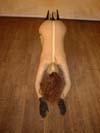 Bondage Ballet Slave