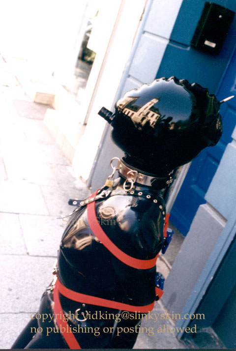 Rubbergirl Protecting her Door like all good Pets